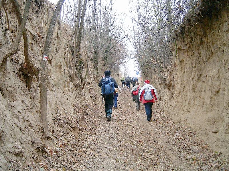 20111210 041.jpg